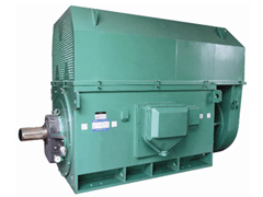 1600KWY系列6KV高压电机